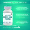 DUO de Calcio de Coral con Vitaminas & Minerales 120