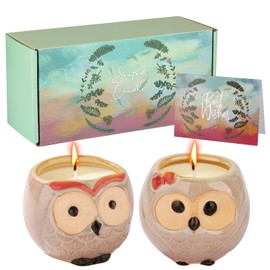 Geschenke für Mütter Geburtstag, Frauen Geburtstagsgeschenk, Schwester Geburtstagsgeschenke, 2-Pack niedliche Kerzen (Eule)