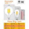 CRLight 12W Dimmable LED Large Globe Bulb 100W Equivalent 1000LM,