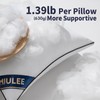 MIULEE 18x18 Pillow Inserts Set of 2 Throw Pillows 18