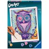 Ravensburger CreArt Dreaming Owl Paint by Numbers Kit for Adults