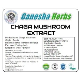 GANESHA HERBS 100% PURE WILD SIBERIAN CHAGA HIGH POTENCY DUAL EXTRACT 100 GRAMS (LAB TESTED)