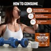 500g Micronised Creatine Monohydrate Powder – 100% Pure Creatine, 5g