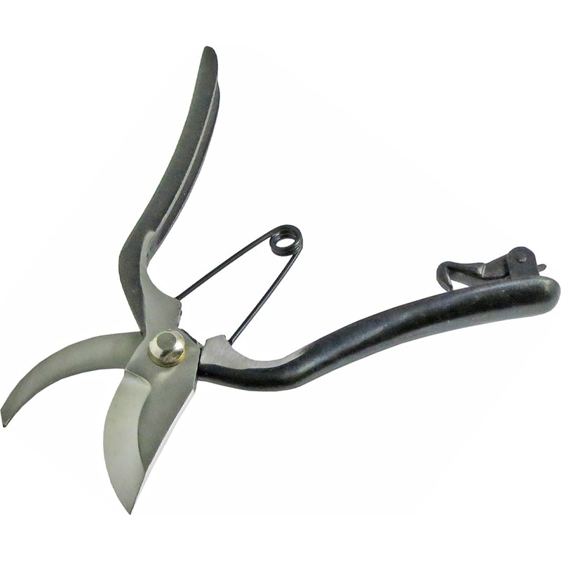 藤光 Pruning Scissor Gold Mailing 200 mm