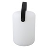 Smart Night Light APP Voice Control Rechargeable Timer WiFi Bluetooth