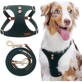 Dog Harness, No Pull Dogs Harness and Multi-Function Leash Set for Medium Dogs Easy Walk Everyday Adjustable Soft Dog Vest Harness Fashionable Dog Accessories Denim Vintage Green-Button-M(17lb-35lb)
