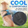 Dog Harness (Medium, Blue) for Running, Hiking & Training, Soft-Padded