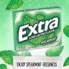 Extra Sugar Free Chewing Gum 15 Count Refreshing Flavor for