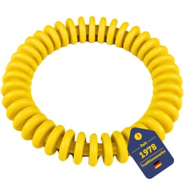 Best Sporting Diving Rings for Children 14 cm I Children's Diving Rings Ideal for Seahorses etc. I Diving Toy for Children I Diving Rings for Children Set I Diving Ring Children (Slats Yellow)