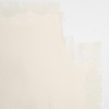 BACKDROP | Premium Interior Paint | Standard Semi Matte, Low