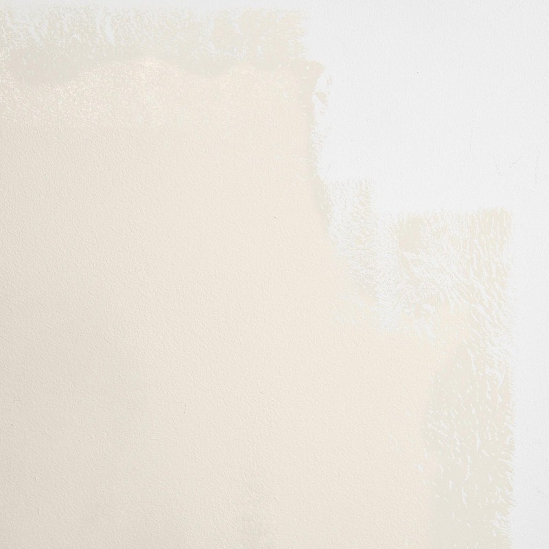 BACKDROP | Premium Interior Paint | Standard Semi Matte, Low
