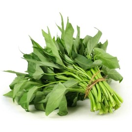 CZ GRAIN 50 Water Spinach Seeds to Grow Ong Choy