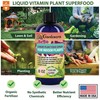 Gardenera Professional Olive Tree Superfood Spray Mist for Home Gardening