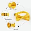 Alizeal Boy's Solid Banded Adjustable Length Pre-tied Bow Tie (Yellow)