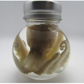 Wet Specimen Taxidermy Octopus Kraken Oddities Ball jar Preserved Specimen
