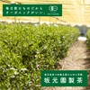 Organic Gyokuro Powdered Tea, 2.4 oz (70 g), Sakamoto-en Seicha