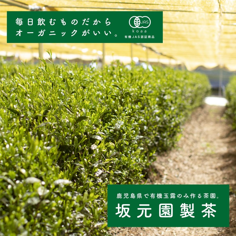 Organic Gyokuro Powdered Tea, 2.4 oz (70 g), Sakamoto-en Seicha