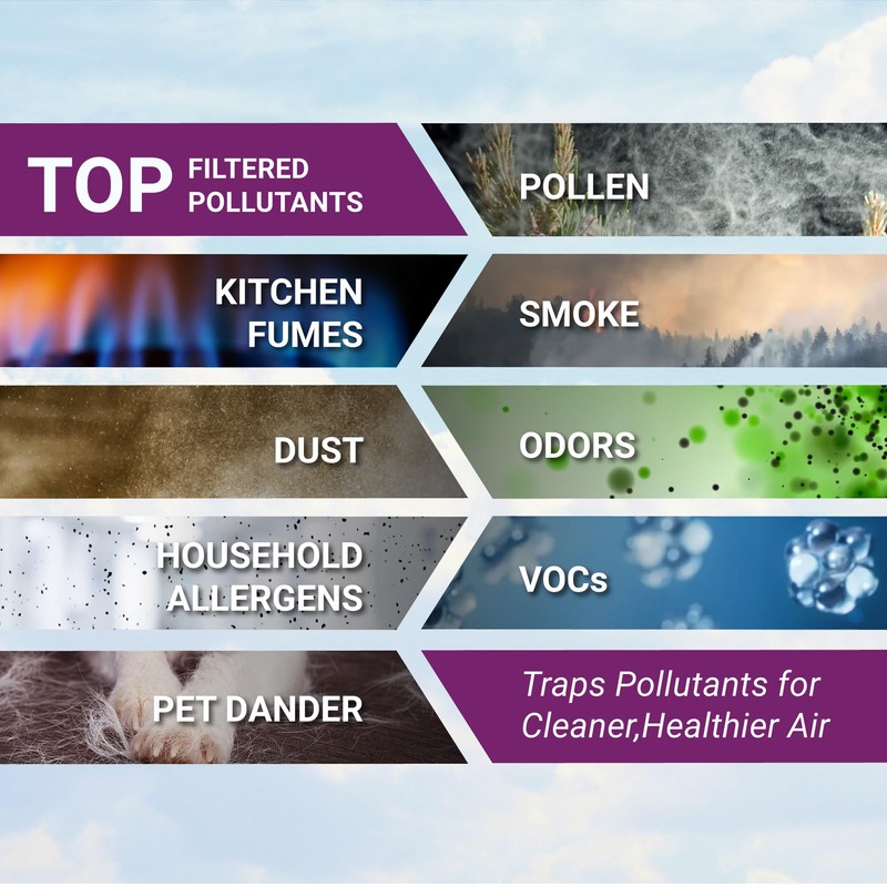 Genuine Winix 116130 Replacement Filter H for 5500-2 Air Purifier