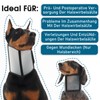 Katzinst Dog Collar - Adjustable Dog Collar Lightweight Plastic Leak