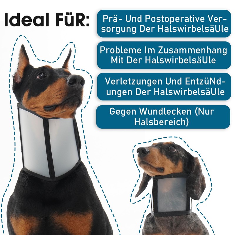 Katzinst Dog Collar - Adjustable Dog Collar Lightweight Plastic Leak