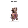 Trendy Paws Small Dog Harness Set (Rose Gold, Large)