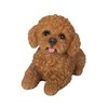 Oubia Looking Up Toy Poodle Red 16.5 x 8 x