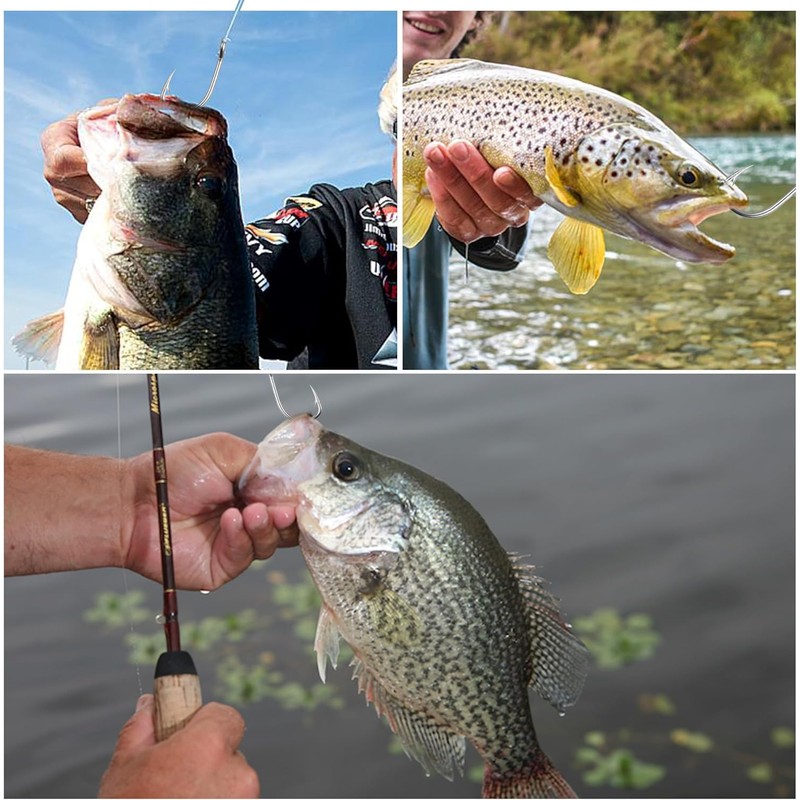 Saltwater Fishing Hooks, 50pcs Live Bait Hooks Strong Stainless Steel