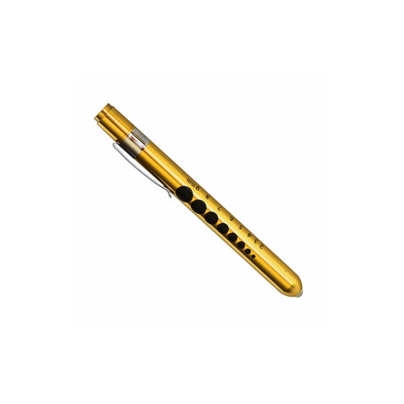 Professional Medical Diagnostic Penlight with Pupil Gauge Gold with 2