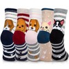 YSense Wear Women's Cute Animal Socks 5 Pairs, Multicolor