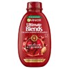 Garnier Ultimate Blends Core Argan & Cranberry shampoo 400mL