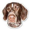 German Shorthaired Pointer Magnet by Magnet America is 4 7/8"