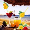 ALINK 50-Pack Tropical Fruit Plastic Drinking Straws, Hawaiian Beach Cocktail