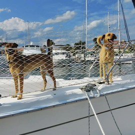 Boat Safety Lifeline Netting,Safety Guardrail Netting,Safe Banister Railing Netting,Nylon Net.Keeping Kids, Crew, Pets and Equipment Safely on Deck.Keeping Everyone Secure. (Length-46 Feet)