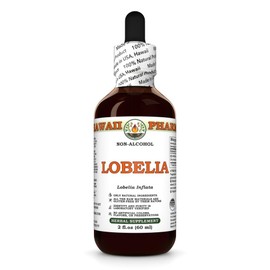 Lobelia Alcohol-Free Extract, Glycerite for Focus & Concentration, Promotes Calm Mind, Supports Natural Breathing, Encourages Mental Clarity - 2 fl.oz