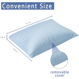 Focustree Microbead Throw Pillow Bedding Neck Pillows with Removable Cover, 16" x 12" Bed and Couch Decorative Pillow for Home Sofa Bedroom Fun Colors Support. Silky, Comfortable (Light Cyan)