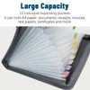 13 Pockets Extended Folder Organiser, Box Document Bags with Coloured