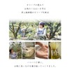 Inoue Seikoen Olive Milk Lotion (Natural Milk Lotion), 5.3 fl