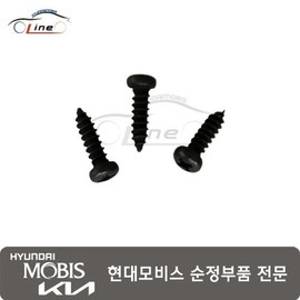Hyundai Mobis Tapping Screw 12431 04149B / 태핑 스크류 12431 04149B