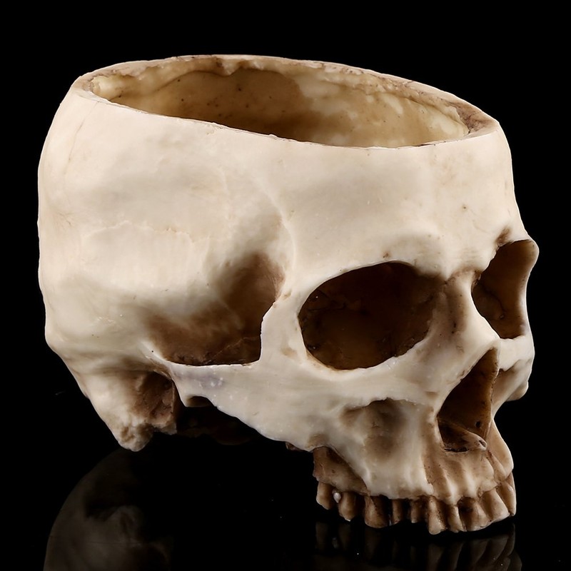 Skull Planter Key Bowl Fake 1 Piece Resin Skull Head