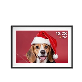 i-Tensodo 2 Pack Anti-Glare Screen Protector for 10 inch Digital Photo Frame with Motion Sensor, Eyes Protection Filter Film Reduce Eyes Strain