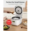 Toshiba Mini Rice Cooker, 3 Cups Uncooked Small Rice Cooker,