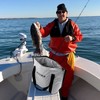 Buffalo Gear Insulated Fish Bag Cooler Flat Bottom-26L Waterproof Fish