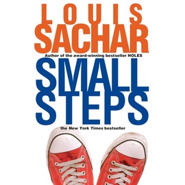Small Steps (Holes Series, Band 2)