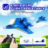 DYODYORC RC Plane 2CH Remote Control Airplane with Gyro Stabilizer
