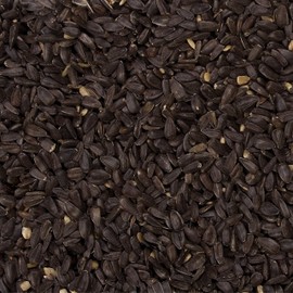 Wild Delight Premium Grade Black Oil Sunflowers (20 lb. Bag)