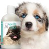 The Blissful Dog Gentle Touch Dog Shampoo, 8-Ounce