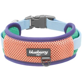 Blueberry Pet Vibrant Mesh Padded Ultra Cool Lightweight Dog Collar for Large Dogs, Mint & Coral, Neck 18"-26", Girl Dog Collar, Female, Soft & Breathable, Matching Leash