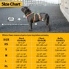 Huntboo Escape Proof Dog Harness, Escape Artist Harness, Fully Reflective
