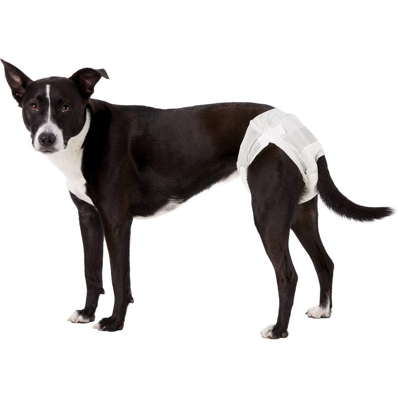 Dogit Disposable Diaper, Medium, 12-Pack