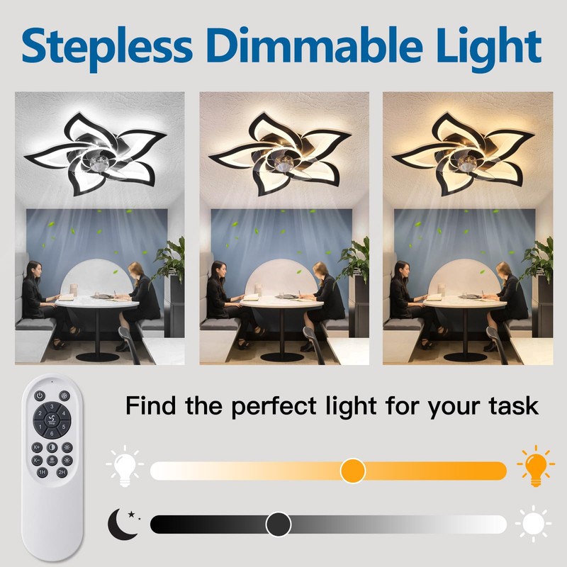 Dalouguan Ceiling Fan with Lights Remote Control, 24" Black, 6